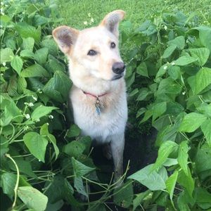 Meet your Posher, Monica